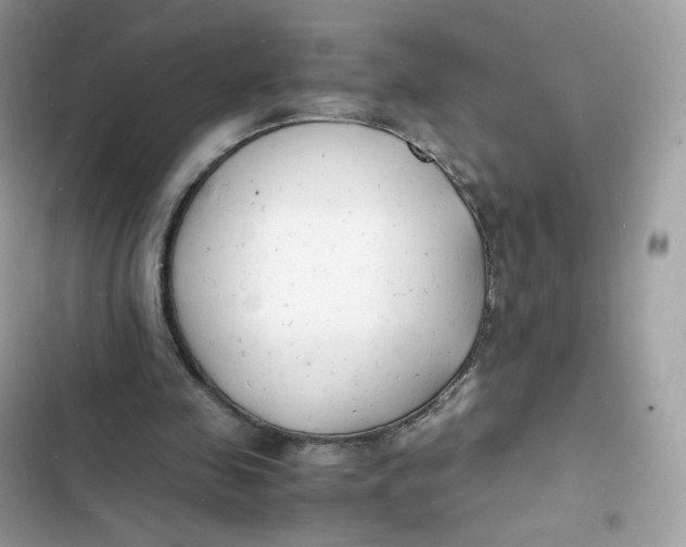 X0000103290341200809191836