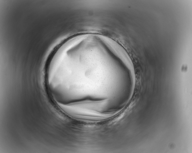 X0000103290342200809191836