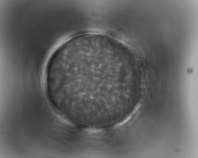 X0000103290343200809191836