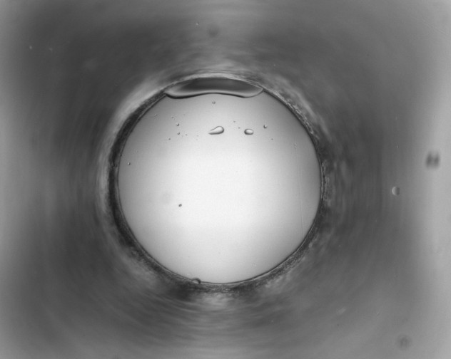 X0000103290344200809191836