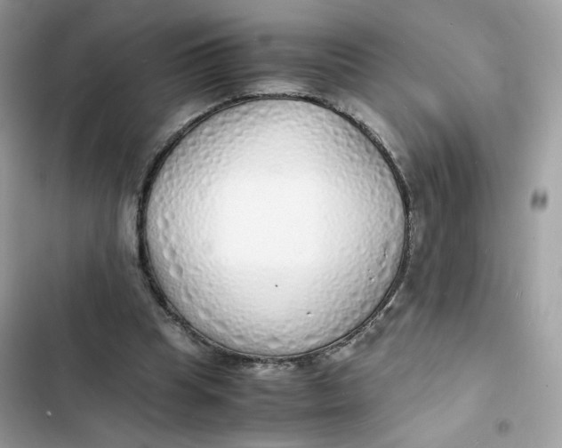 X0000103290345200809191836