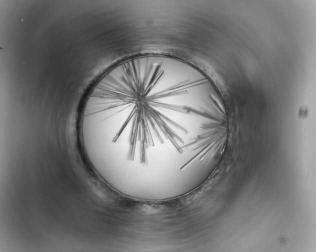 X0000103290346200809191836