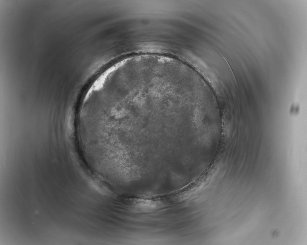 X0000103290347200809191836