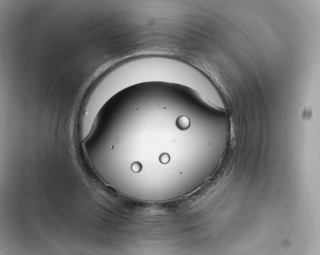 X0000103290348200809191836