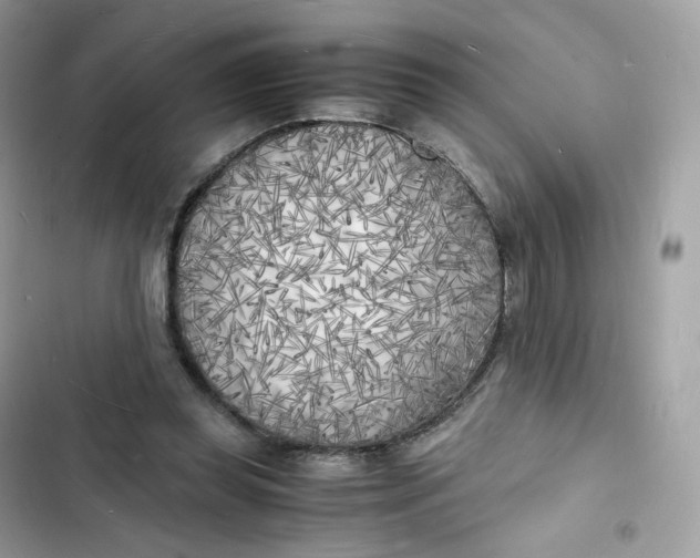 X0000103290349200809191836