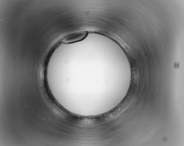 X0000103290350200809191836