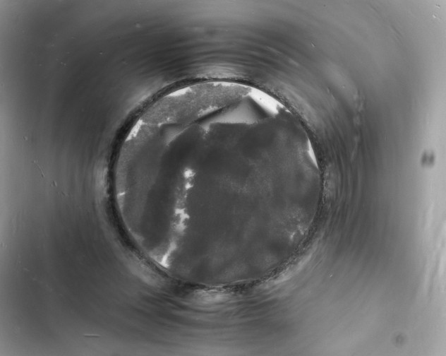 X0000103290351200809191836