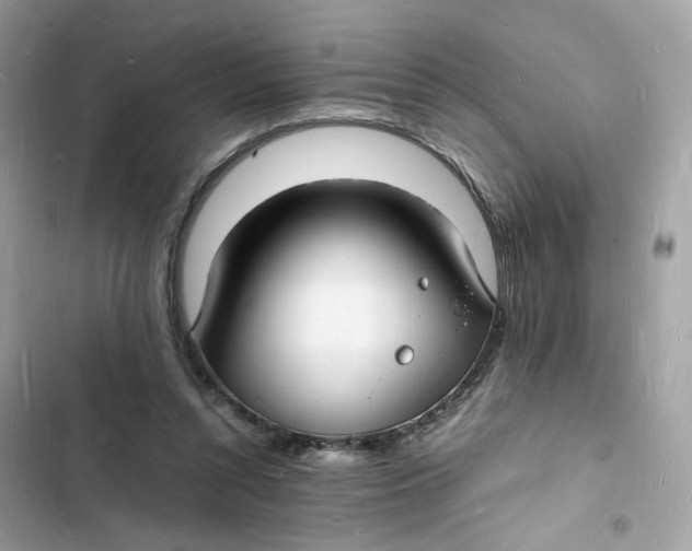 X0000103290352200809191836