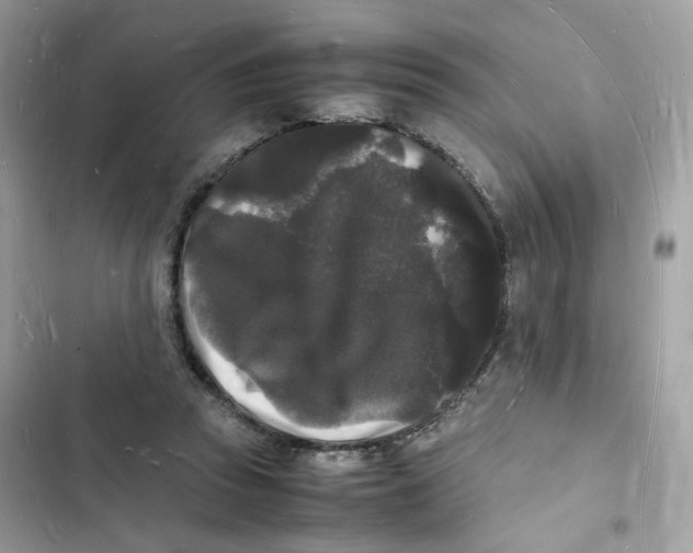 X0000103290353200809191836