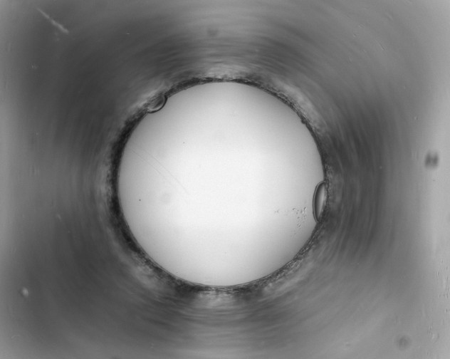 X0000103290354200809191836