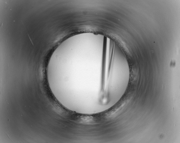 X0000103290355200809191836