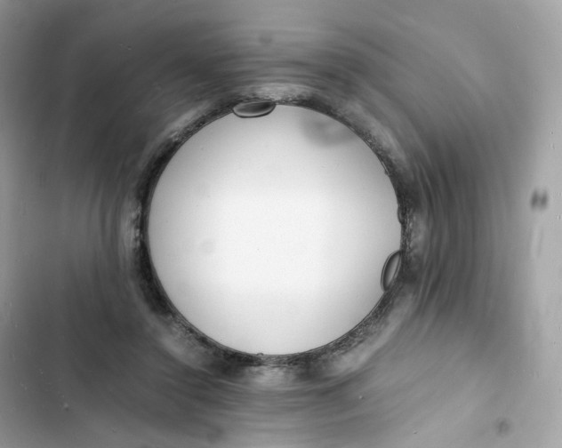 X0000103290356200809191836