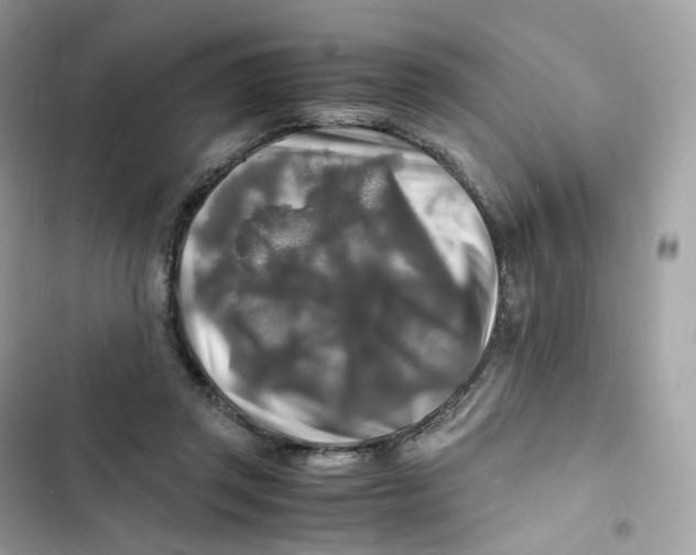 X0000103290357200809191836