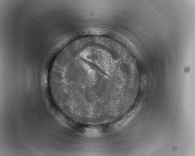 X0000103290358200809191836