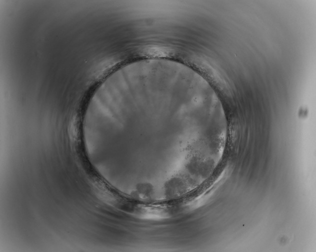 X0000103290359200809191836