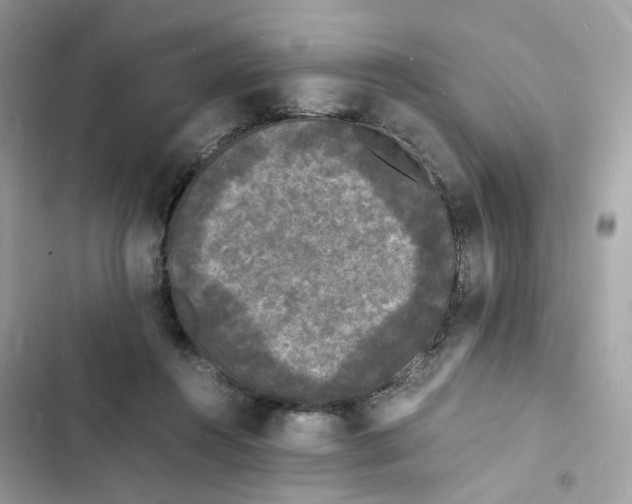 X0000103290360200809191836