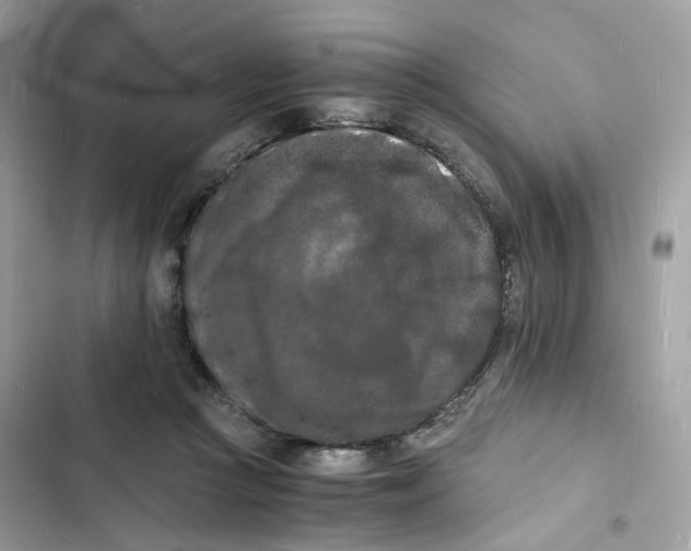 X0000103290361200809191836