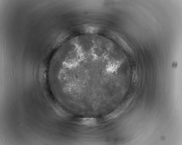 X0000103290363200809191836