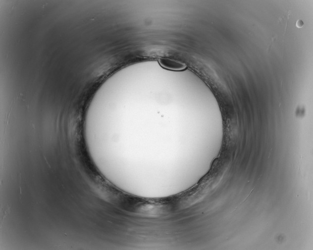 X0000103290364200809191836