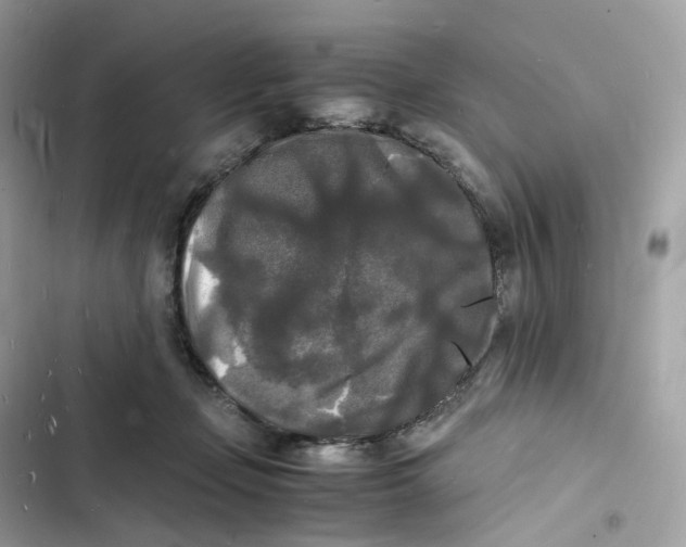 X0000103290365200809191836