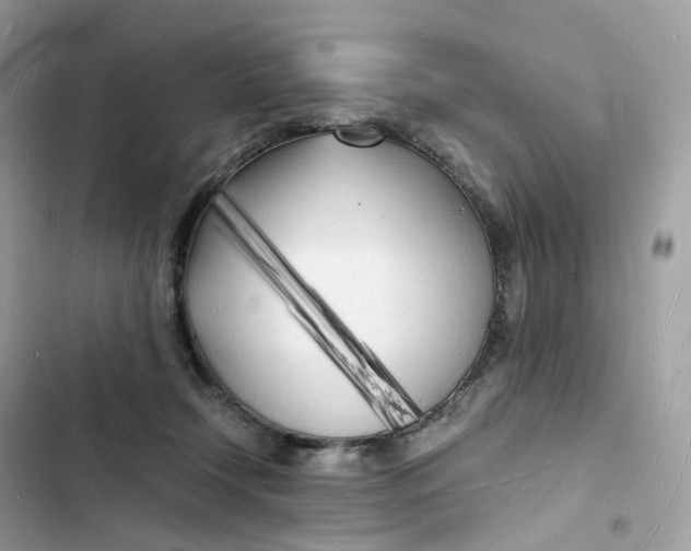 X0000103290366200809191836