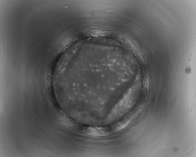 X0000103290367200809191836