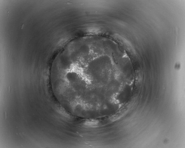 X0000103290369200809191836