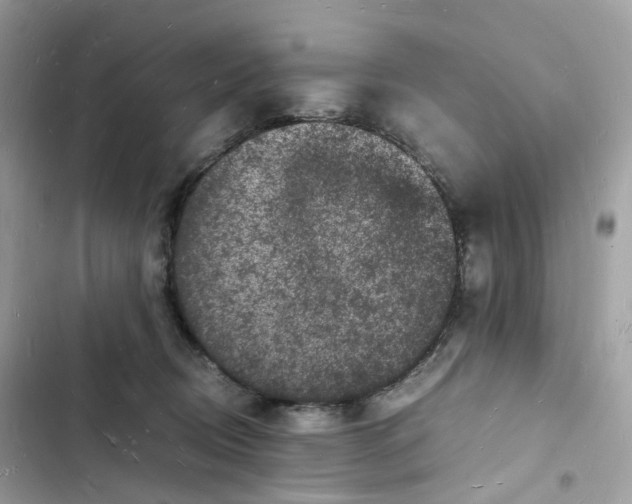 X0000103290370200809191836