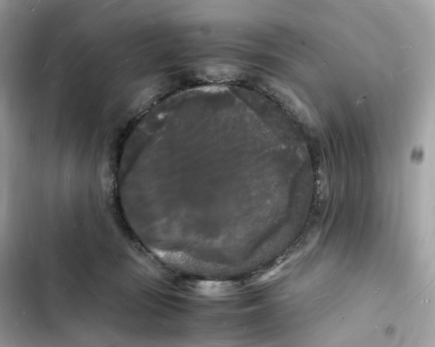 X0000103290371200809191836