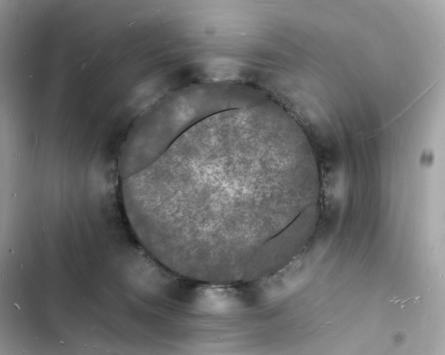 X0000103290372200809191836