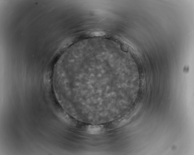 X0000103290373200809191836