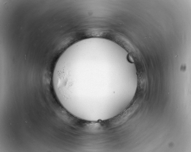 X0000103290374200809191836