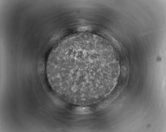 X0000103290375200809191836