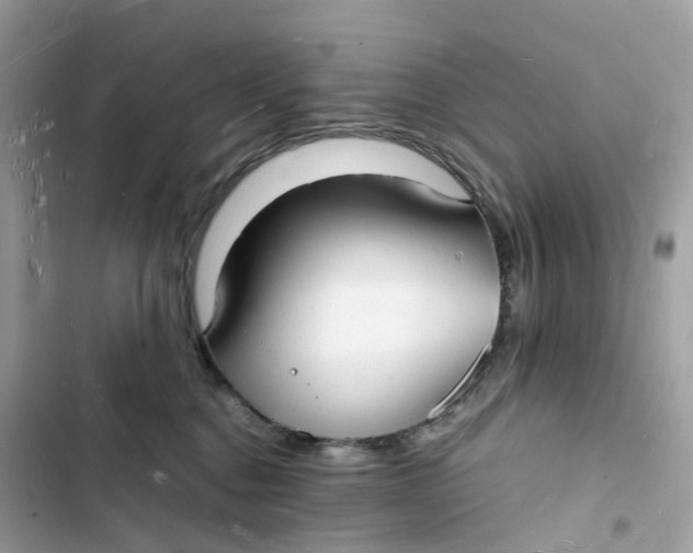 X0000103290376200809191836