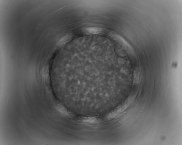 X0000103290377200809191836