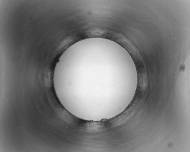 X0000103290378200809191836