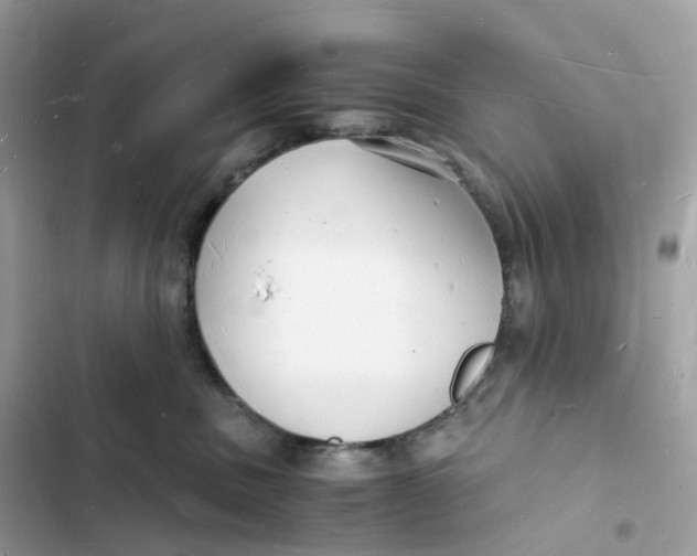 X0000103290379200809191836