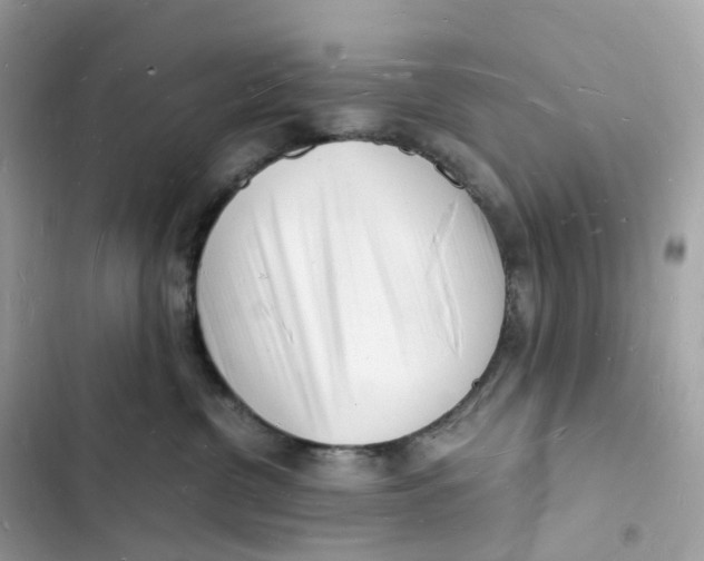 X0000103290380200809191836