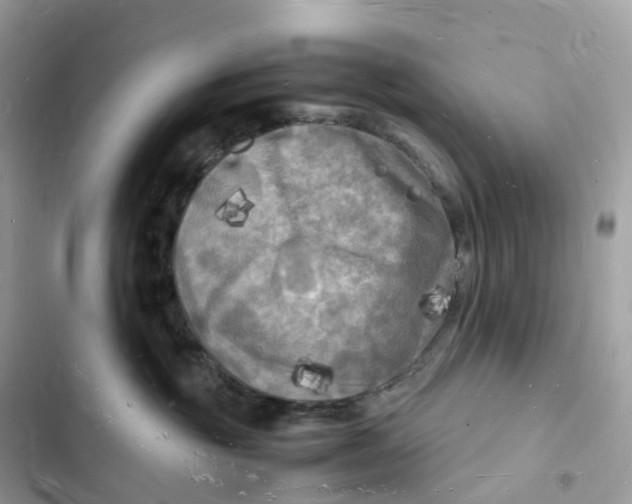 X0000103290381200809191836