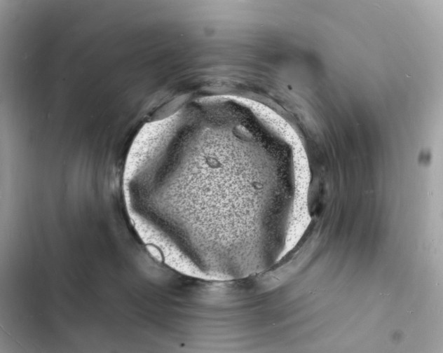 X0000103290382200809191836