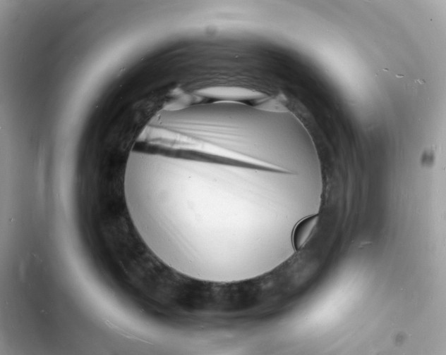 X0000103290383200809191836