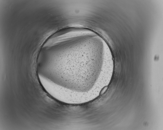 X0000103290385200809191836