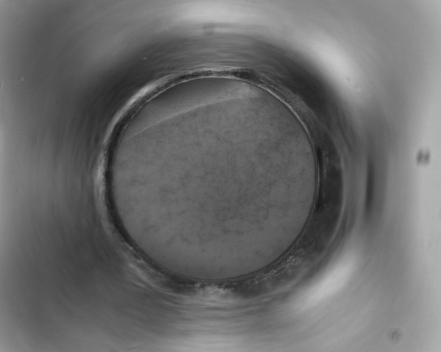 X0000103290387200809191836