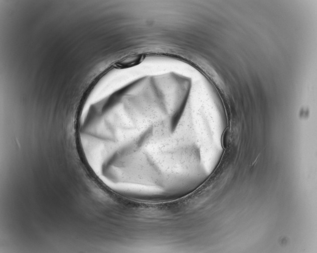 X0000103290389200809191836