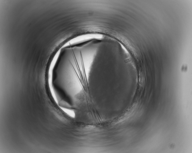 X0000103290390200809191836