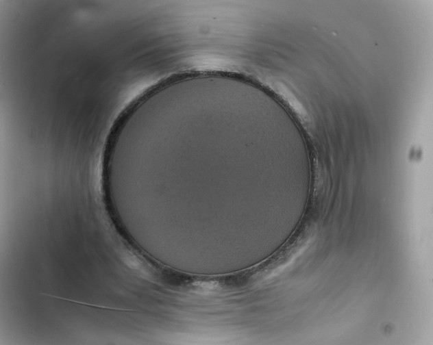 X0000103290391200809191835