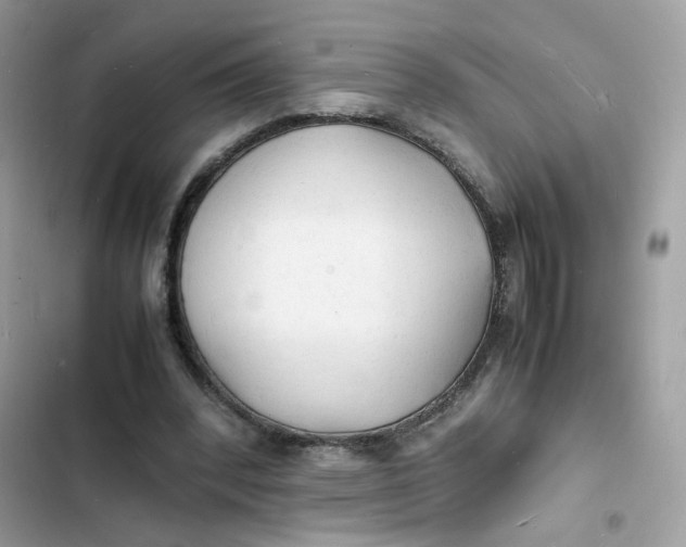 X0000103290392200809191835