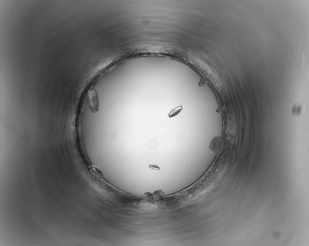 X0000103290394200809191835