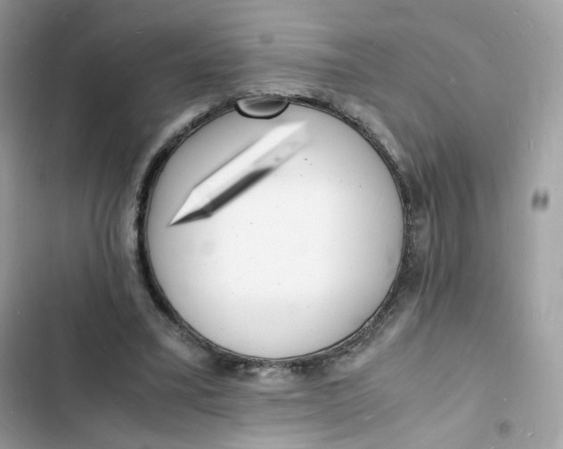 X0000103290395200809191835