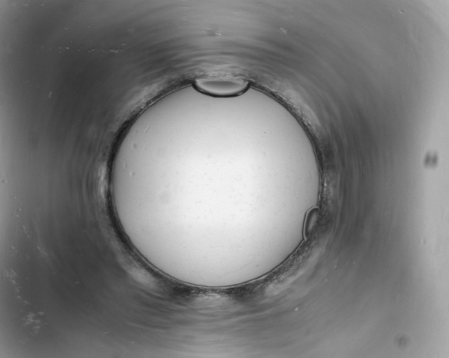 X0000103290397200809191835